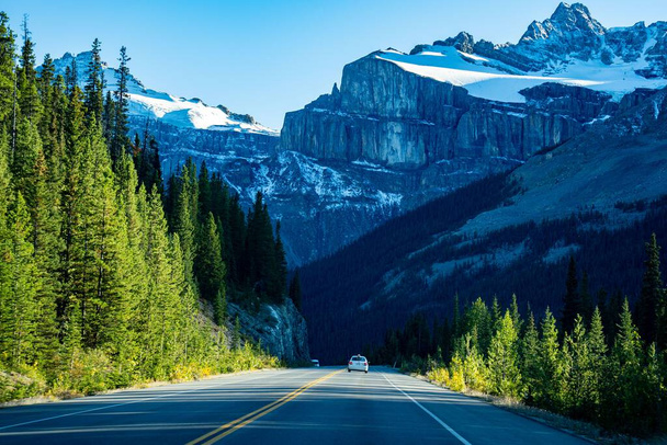 A breathtaking landscape view of the road surrounded by green trees, with a rocky mountain in the background on a sunny day - Foto, afbeelding