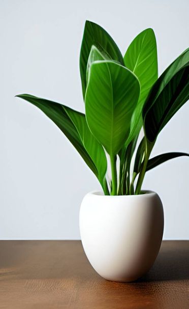 Eine frische Pflanze im Topf mit leuchtend grünen Blättern auf dem Wohnzimmertisch - Foto, Bild