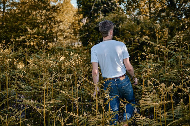 A caucasian man in a forest touching the plants - Fotó, kép
