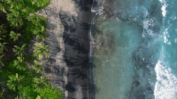 驚くべき自然景観ジュラシック世界エキゾチックなジャングル。火山ビッグ島の黒い砂溶岩ビーチ。ハワイ島のリモート旅行先のチェーン。アメリカでの訪問のための素晴らしい場所の1つ - 映像、動画