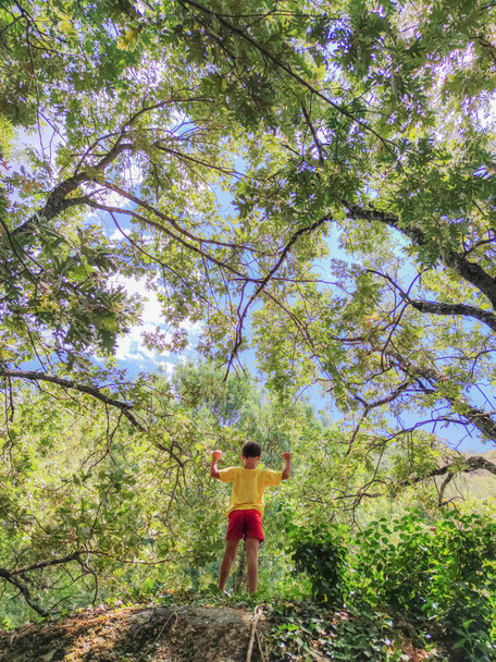 Triumphant child boy on top of a forest rock. Encourage children self-confidence concept - Foto, Imagem