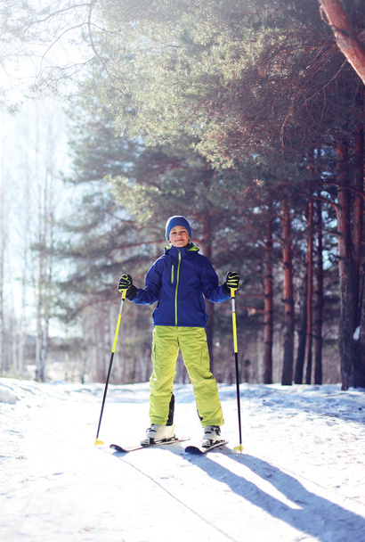 Sporty boy skiing in the forest, sunny clear winter day - Photo, Image