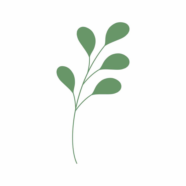Green leaf vector illustration. Decorative frame. Decorative leaf element. - Photo, image