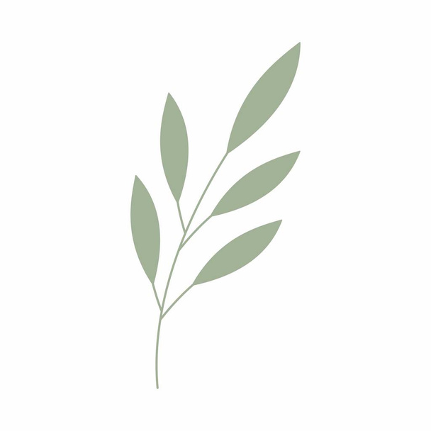 Green leaf vector illustration. Decorative frame. Decorative leaf element. - Photo, Image