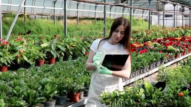 Portret van tuinvrouw aan het werk in kas met notitieboekje onderzoekt de groeiende bloemen in kas. Huis tuinieren, liefde voor planten en zorg. Kleine bedrijven. - Video