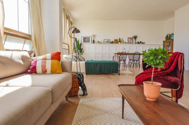 Vintage studio apartment interior in light colors in old style. huge room with large windows with a living room area and a bedroom area. direct sunlight inside. - Photo, image