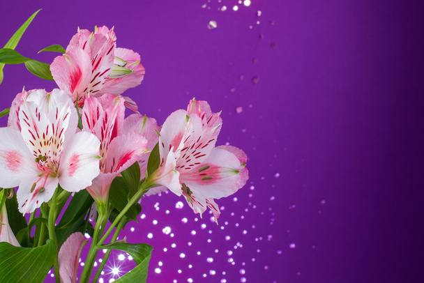 buquê de flores alstroemeria
 - Foto, Imagem