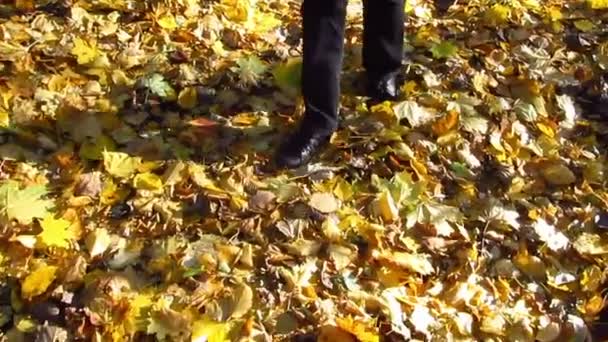 Ανθρώπινα πόδια και κίτρινο το φθινόπωρο τα φύλλα - Πλάνα, βίντεο