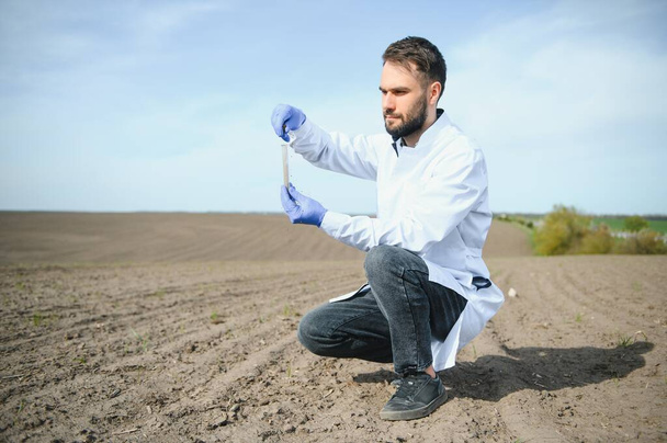 Agronomist studying samples of soil in field. - Foto, Imagem