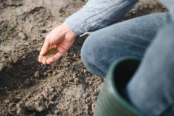 Farmer's hand planting seed in soil. - Photo, image