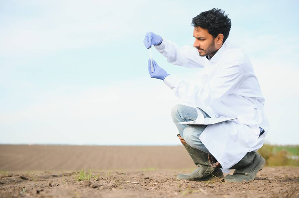 Soil Testing. Indian Agronomy Specialist taking soil sample for fertility analysis. Hands in gloves close up. Environmental protection, organic soil certification, field work, research. - Foto, Imagem