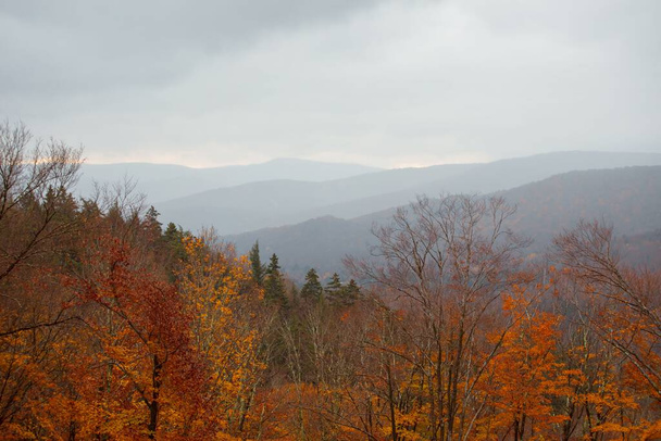 A landscape view of the colorful autumn trees with hills  in the background on a foggy day - Foto, Imagem