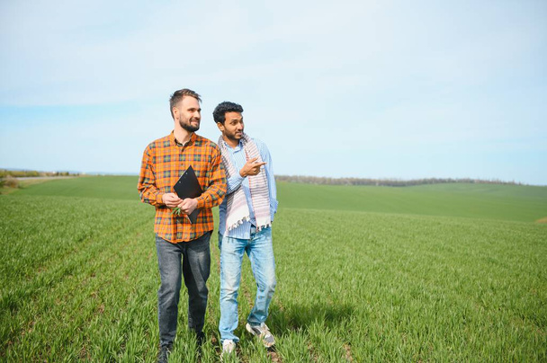 Two indian farmer standing at agriculture field. The concept of agriculture. - 写真・画像