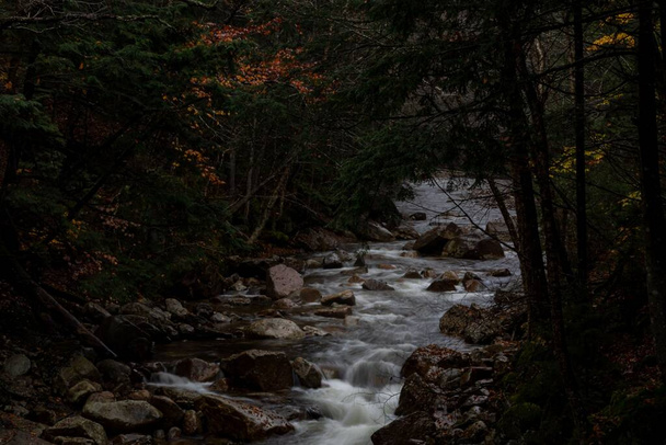 A narrow river flowing over the stones surrounded by trees in New Hampshire - Foto, Imagen