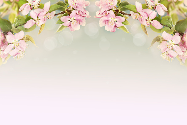 Beautiful Spring Blossoms - Zdjęcie, obraz