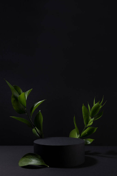 Black abstract stage one cylinder podium mockup, fresh green tropical leaves in hard light, shadows in summer night style, scene template for presentation cosmetic products, goods, design, vertical. - Foto, afbeelding