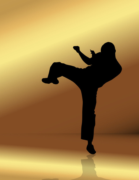 Martial arts - Vector, Image