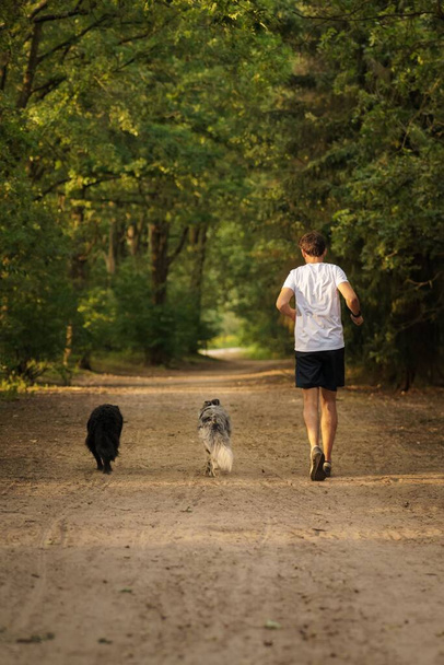 A vertical shot of a male running in a park with two Australian shepherds - Photo, Image