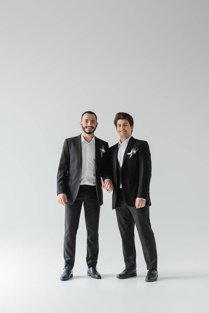 Full length of young and smiling homosexual grooms in classic suits with boutonnieres holding hands and looking at camera on grey background  - Фото, изображение