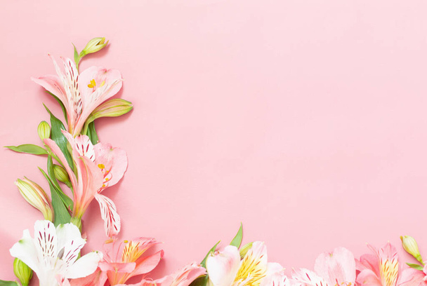 alstroemeria flowers on pink background - Foto, Bild