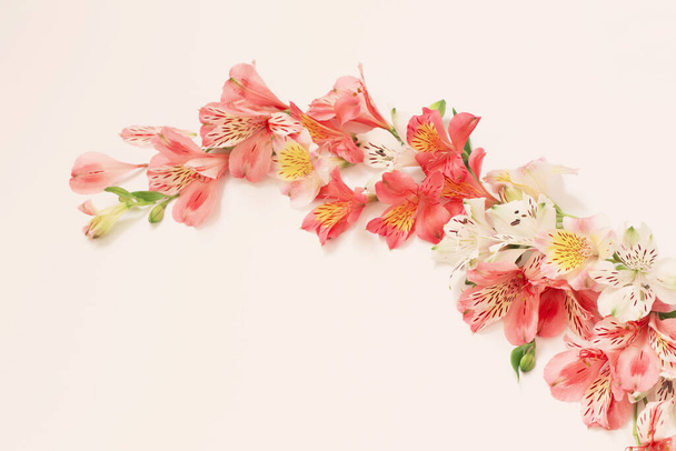 alstroemeria flowers on white  background - Foto, imagen