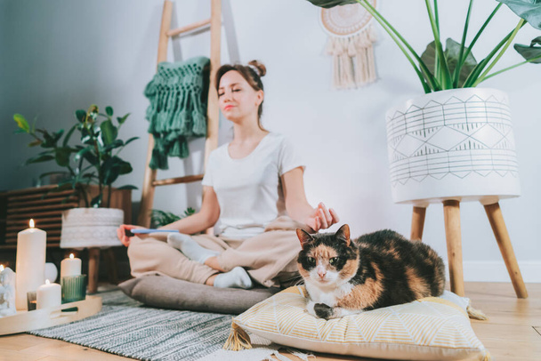 Relaxed cat pet lying on the cushion in focus with blurred young healthy woman practicing meditation at home, Scandi interior home. Meditating, relaxed, eyes closed. Selective focus - Foto, Bild