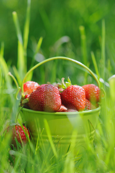 Strawberry bucket placed on the grass - Фото, зображення