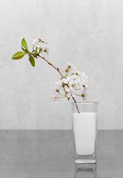 Cherry flowers standing in milk - Фото, изображение