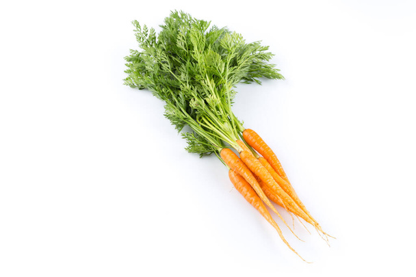 čerstvá mrkev se zelenými listy izolované na bílém pozadí. zelenina. jídlo - Fotografie, Obrázek