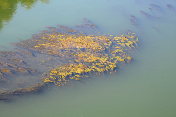 rhone folyó - Fotó, kép