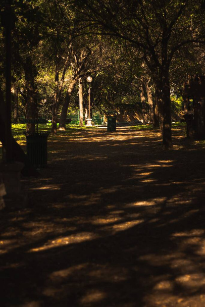 A vertical shot of an alley in the park covered with shadows - Φωτογραφία, εικόνα