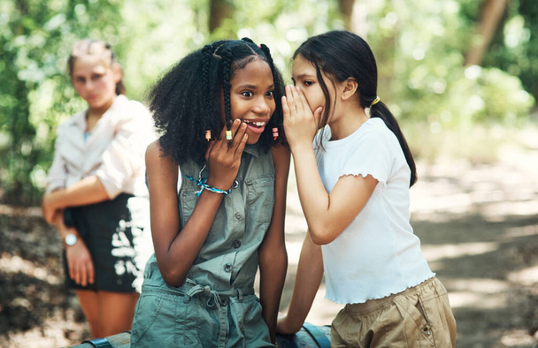 Not everyone is having fun. two teenage girls gossiping about their friend at summer camp - Φωτογραφία, εικόνα