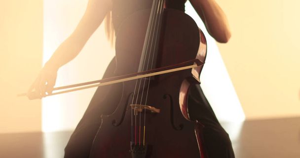 Single woman playing the cello, close-up and medium close-up, cello bow and strings, smooth transitions of the camera from focus to out-of-focus, beautiful filmic, artistic shots. - Фото, изображение