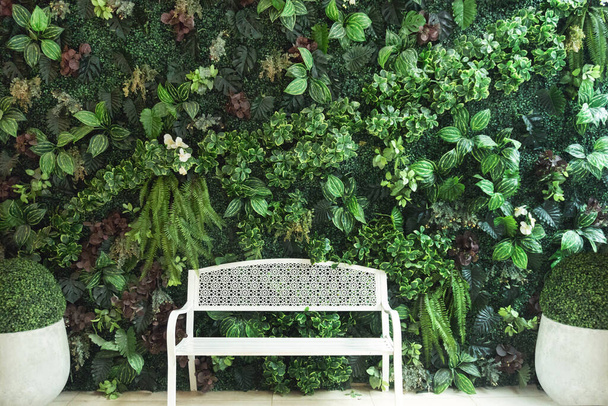 λευκή πολυθρόνα καθίσματος σε κάθετη διακόσμηση κήπου στο παρασκήνιο. Αναμίξτε τεχνητό κισσό και φτέρη σε φόντο τοίχου - Φωτογραφία, εικόνα