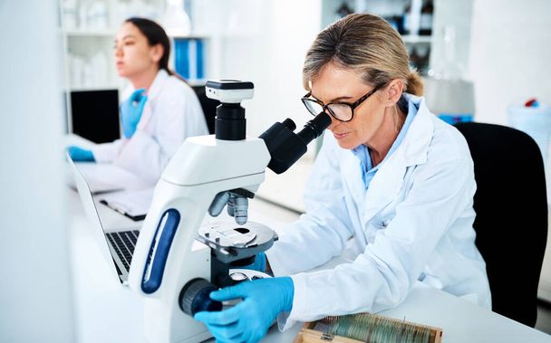 Diagnostica dei dati clinici. uno scienziato maturo che utilizza un microscopio in un laboratorio con la sua collega sullo sfondo - Foto, immagini