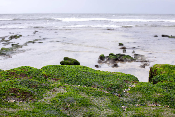 Seascape with beach rock formations covered with green algae with blurred ocean on the background - Photo, Image