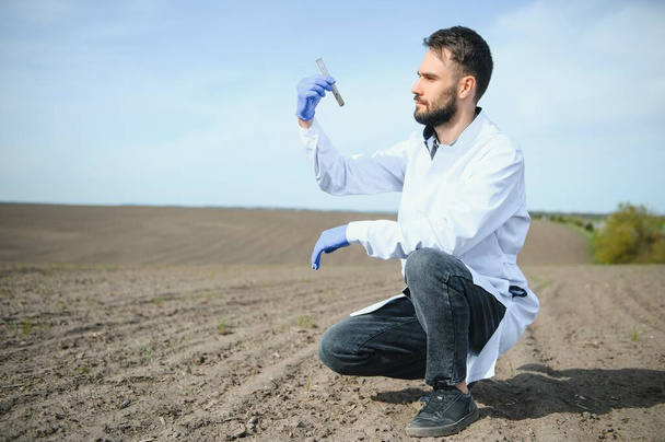 Bodenproben. Agrarwissenschaftler entnimmt Bodenprobe zur Fruchtbarkeitsanalyse. Hände in Handschuhen aus nächster Nähe. Umweltschutz, organische Bodenzertifizierung, Feldforschung - Foto, Bild