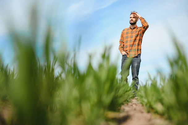 Portrait of farmer standing in field - Фото, изображение