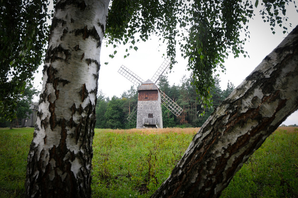 windmill - Photo, Image