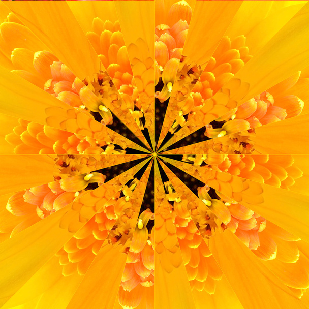 Keltainen kukka keskus kollaasi geometrinen kuvio
 - Valokuva, kuva