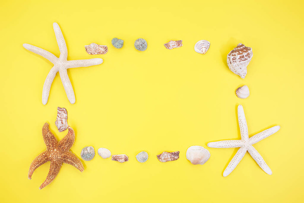 Estrella de mar, conchas en forma de marco con lugar para texto sobre fondo amarillo. Vacaciones, concepto de viaje. Copiar espacio - Foto, Imagen