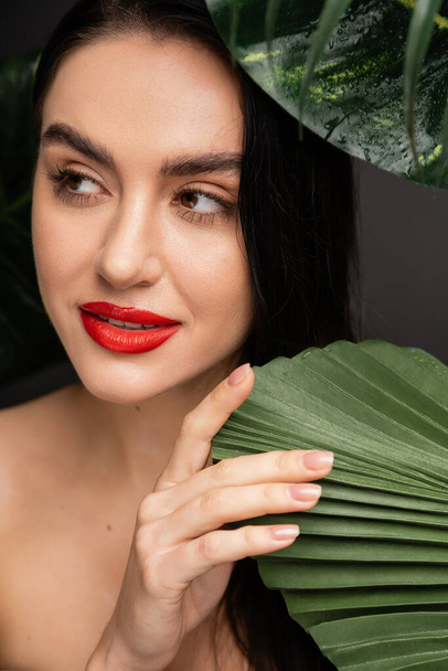mujer joven soñadora con cabello moreno y labios rojos posando alrededor de hojas de palmeras verdes tropicales y exóticas con gotas de lluvia sobre ellas aisladas sobre fondo gris  - Foto, Imagen