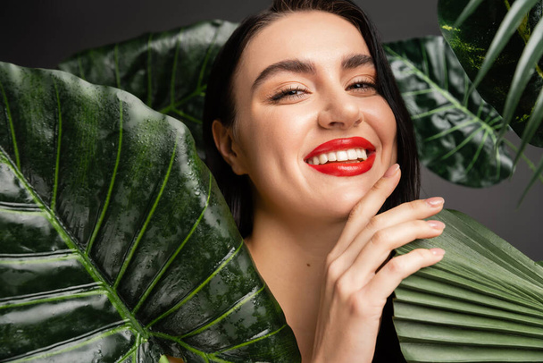 pozytywna młoda kobieta z włosami brunetki i czerwonymi ustami uśmiechnięta podczas pozowania wokół egzotycznych zielonych liści palmowych z kroplami deszczu i patrząc w kamerę  - Zdjęcie, obraz