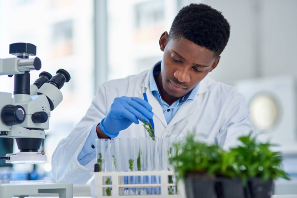 Ничего не происходит. сосредоточенный молодой ученый-мужчина помещает крошечные растения во флаконы, готовые к экспериментам внутри лаборатории в течение дня - Фото, изображение