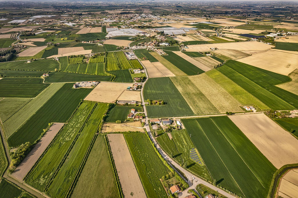 Breathtaking aerial view showcasing the vibrant, green landscapes of Italy's fertile Po Valley countryside - Foto, afbeelding
