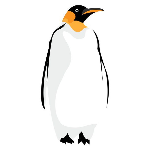 A vertical view of a penguin on an isolated background - Vektör, Görsel