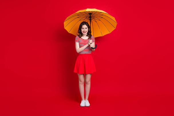 Full body portrait of adorable cheerful lady hands hold umbrella good mood isolated on red color background. - Fotoğraf, Görsel