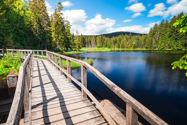 An empty boardwalk on the lake surrounded by green vegetation. - Fotó, kép