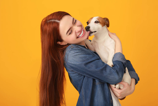 Happy woman with her cute Jack Russell Terrier dog on orange background - Fotografie, Obrázek