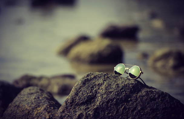 Bril op de rots in de buurt van de zee - Foto, afbeelding
